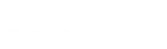 Erste client logo