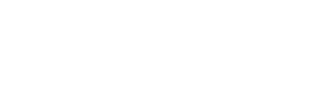 Palfinger client logo
