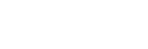 Steininger client logo